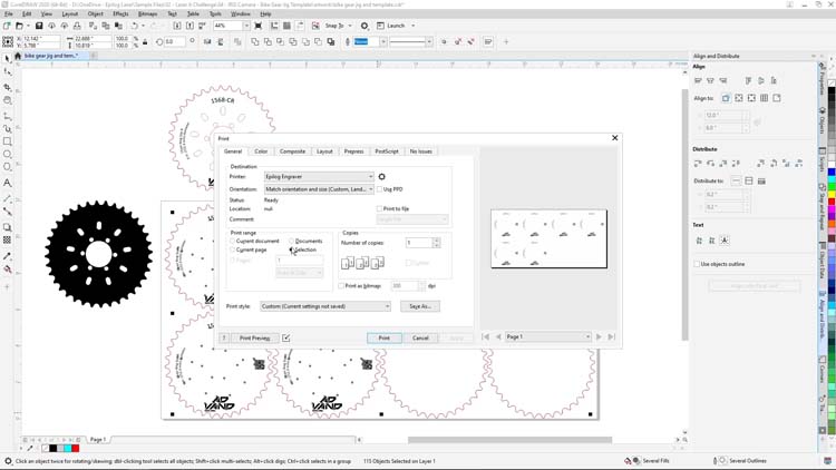 selection option for print