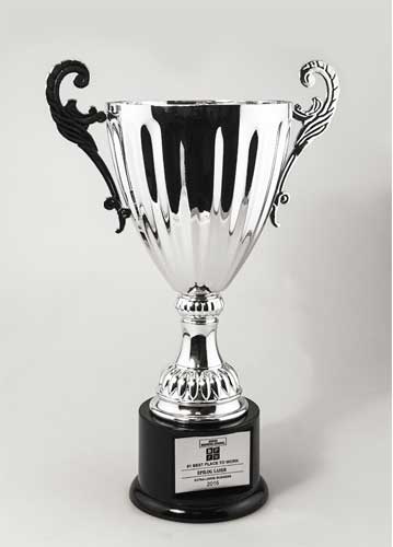 #1 best place to work award