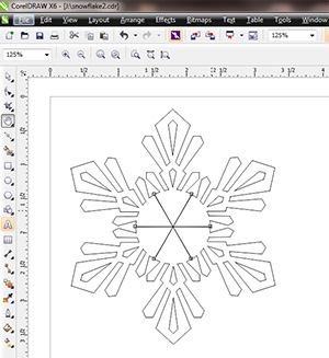 5 branch snowflake corel x6