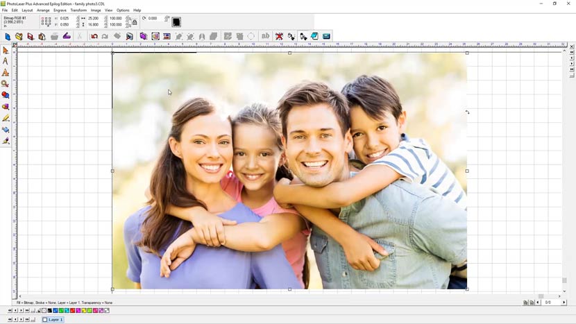 Click on the workarea to bring up the a family image