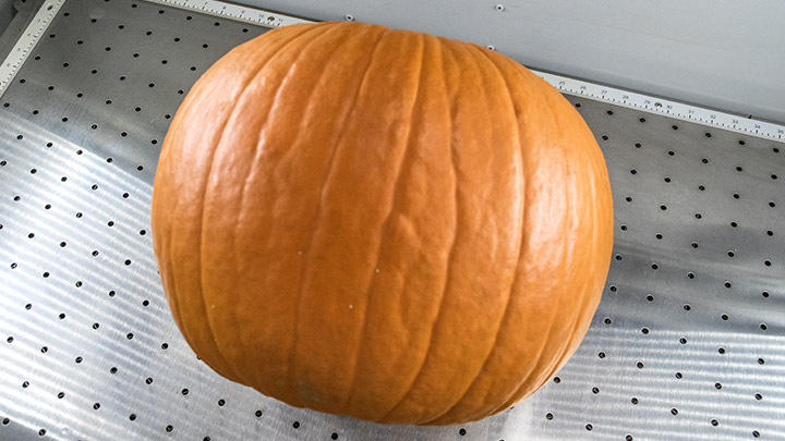 Una zucca posizionata nel sistema laser