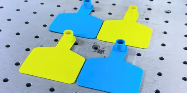 étiquettes pour vaches