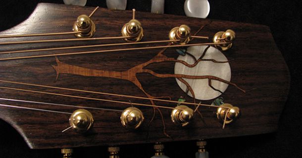 Blue Dragon Instrument-inlays